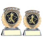 Pewter/Gold 5 Star Holder with Vinyl Cricket Bowler Insert & Plate by School Badges UK