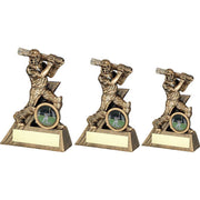 Bronze/Gold Mini Male Cricket Batsman Figure with Plate by School Badges UK