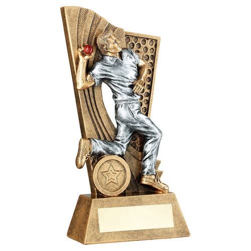 Bronze/Pewter/Red Male Cricket Bowler on Backdrop with Plate - 152mm by School Badges UK