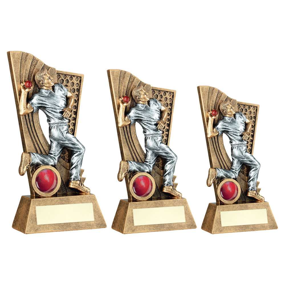 Bronze/Pewter/Red Male Cricket Bowler on Backdrop with Plate by School Badges UK