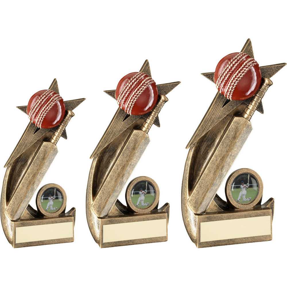 Bronze/Gold/Red Cricket Ball and Bat on Shooting Star with Plate by School Badges UK