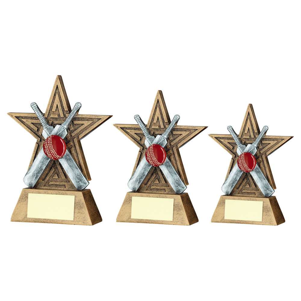 Bronze/Pewter/Red Cricket Star Line Series with Plate by School Badges UK
