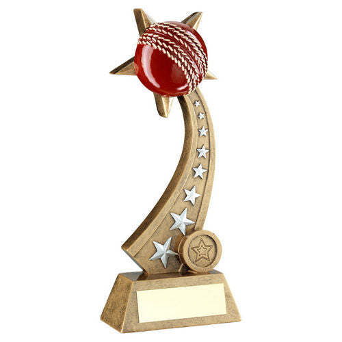 Bronze/Pewter/Red Cricket Ball on Star Trail with Plate - 203mm by School Badges UK