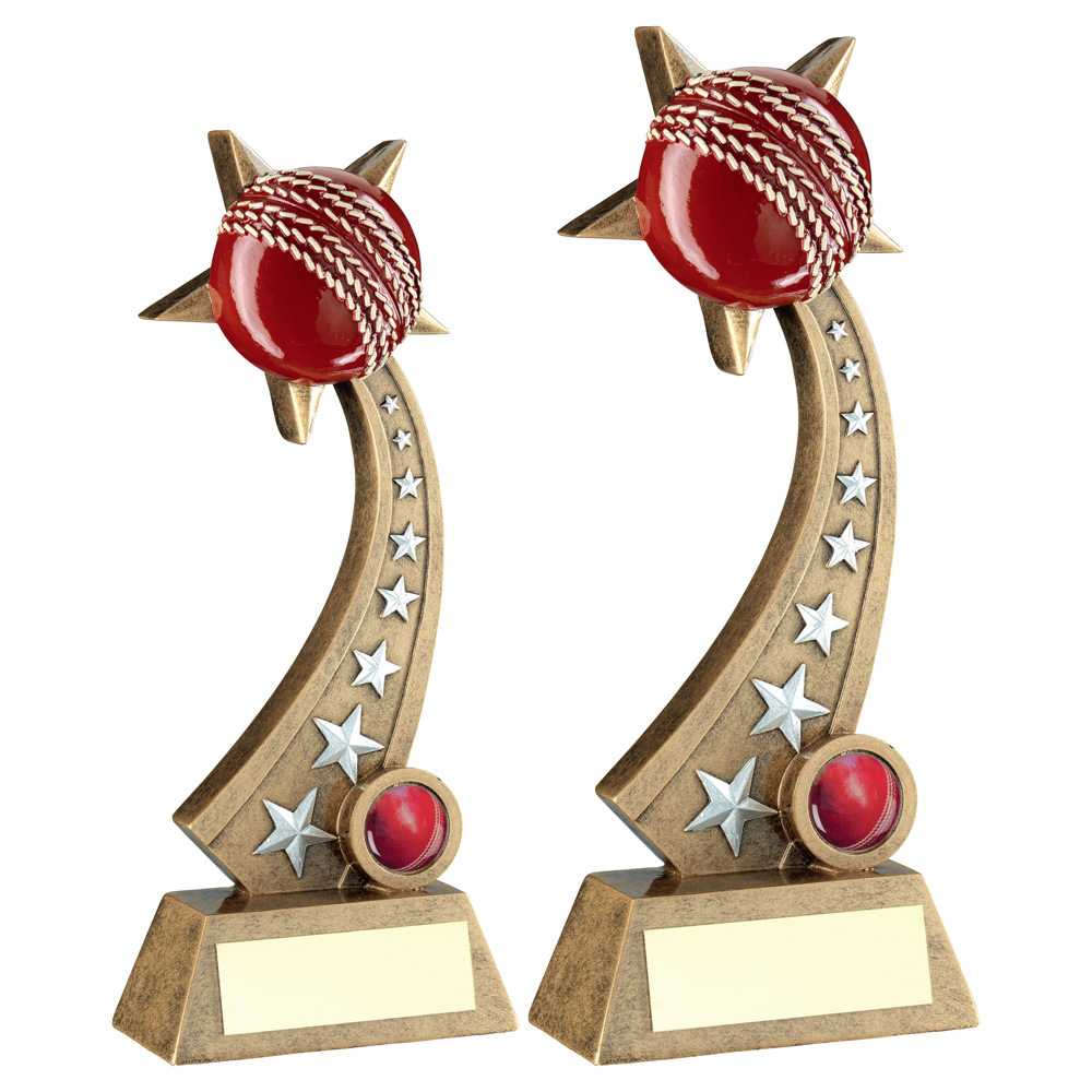 Bronze/Pewter/Red Cricket Ball on Star Trail with Plate by School Badges UK