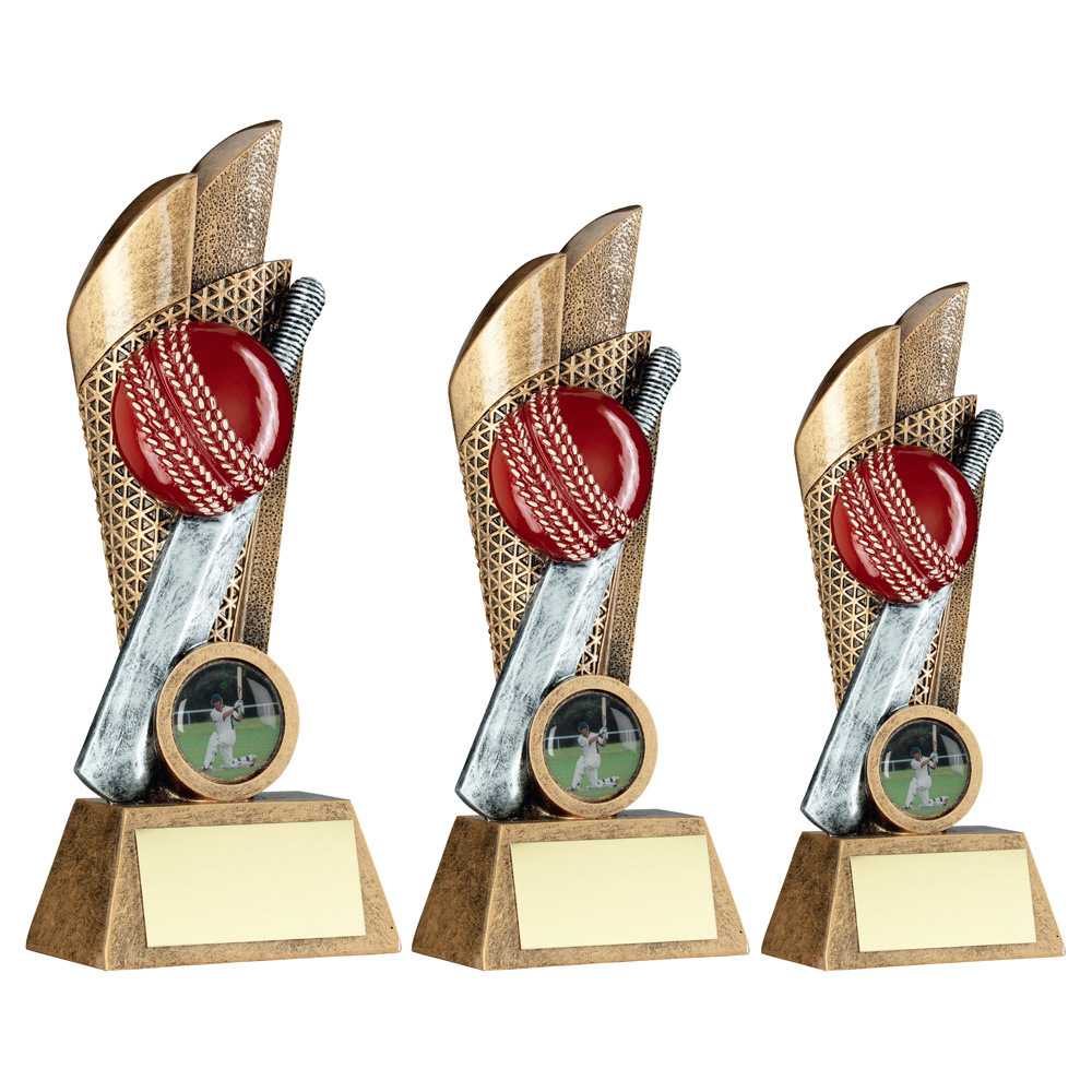 Bronze/Pewter/Gold Cricket Ball and Bat on Mesh Backdrop with Plate by School Badges UK