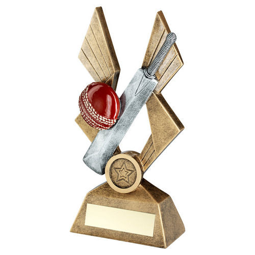 Bronze/Pewter/Red Cricket Ball and Bat on Pointed Backdrop with Plate - 203mm by School Badges UK