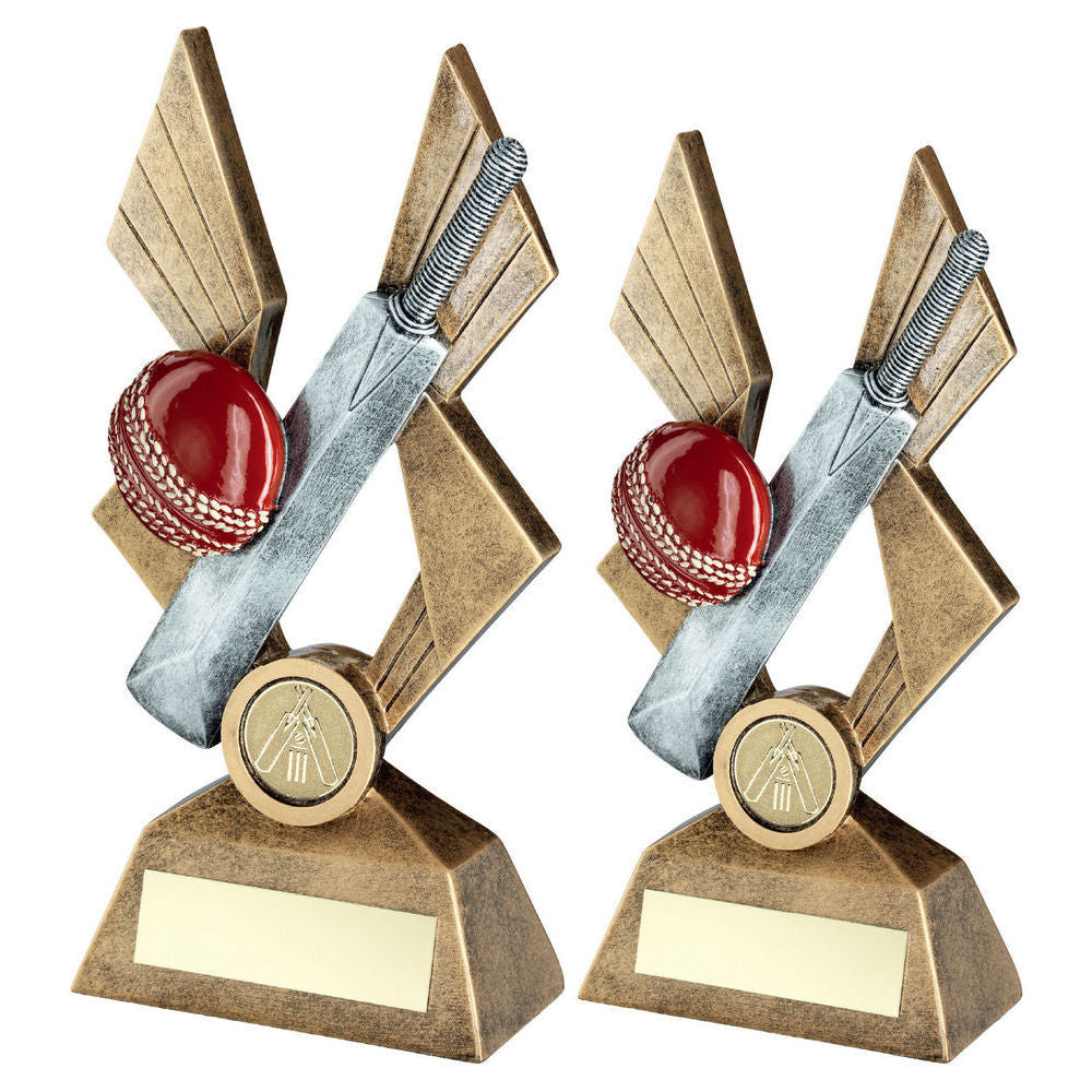 Bronze/Pewter/Red Cricket Ball and Bat on Pointed Backdrop with Plate by School Badges UK
