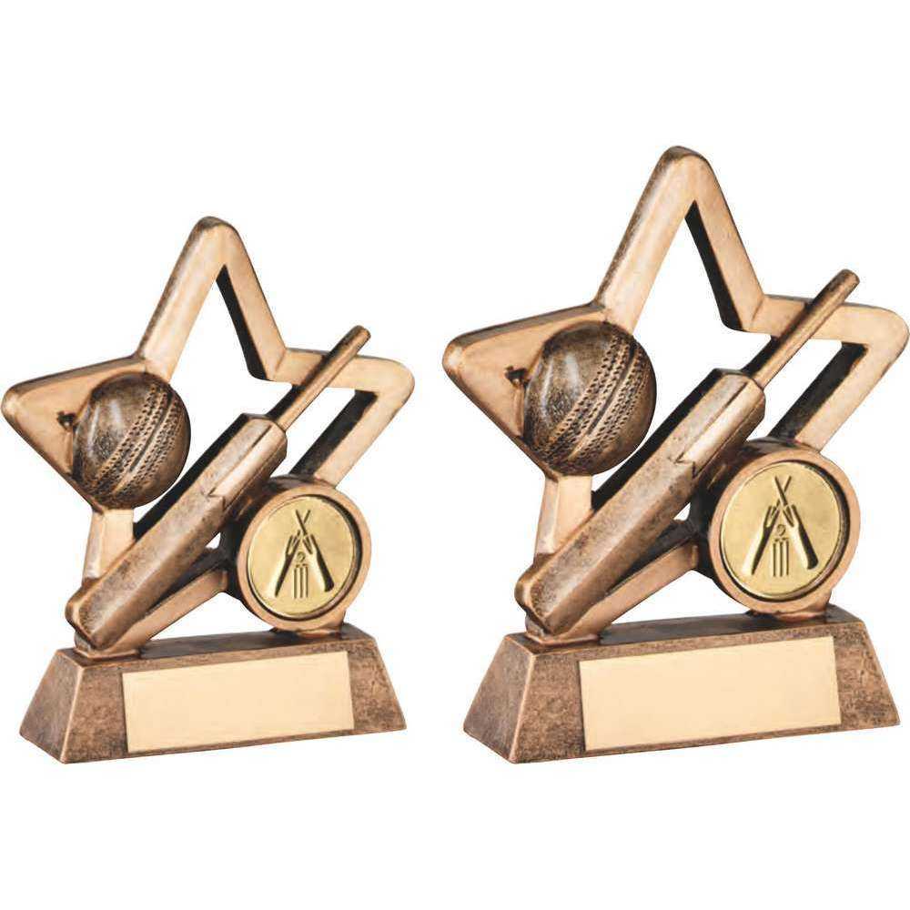Bronze/Gold Resin Cricket Mini Star with Plate by School Badges UK