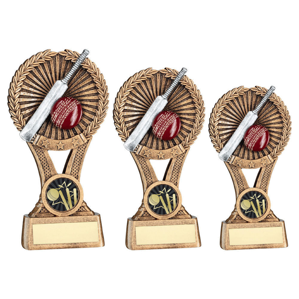 Bronze/Gold/Pewter Cricket Round Wreath on V Riser with Plate by School Badges UK