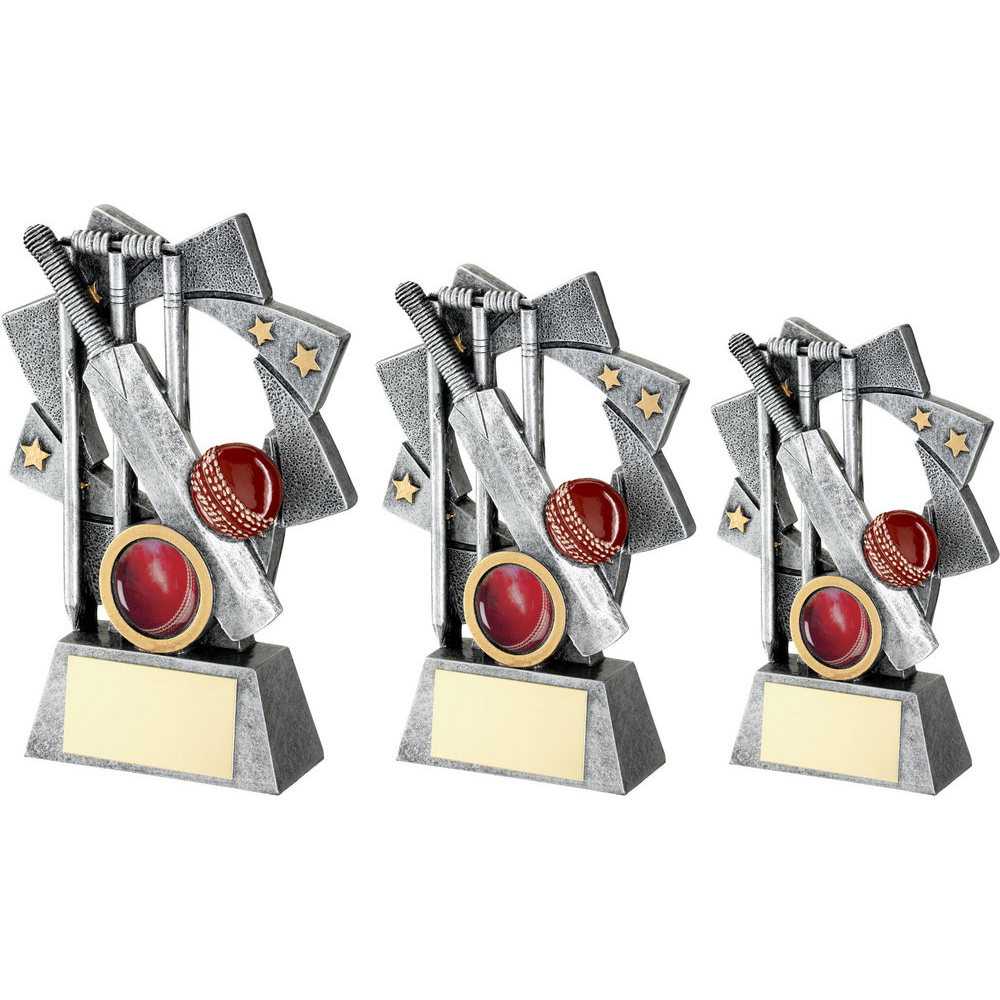 Pewter/Gold/Red Cricket Star Spiral with Plate by School Badges UK