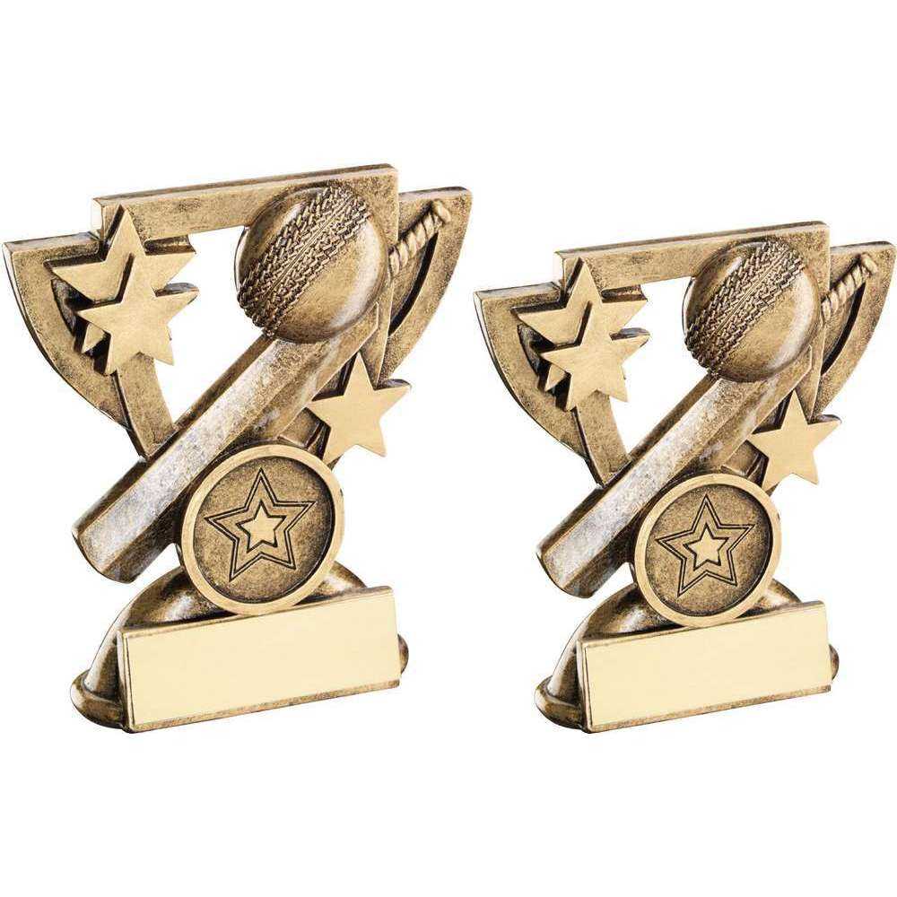 Bronze/Gold Cricket Mini Cup with Plate by School Badges UK