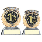 Pewter/Gold 5 Star Holder with Vinyl First Insert & Plate by School Badges UK