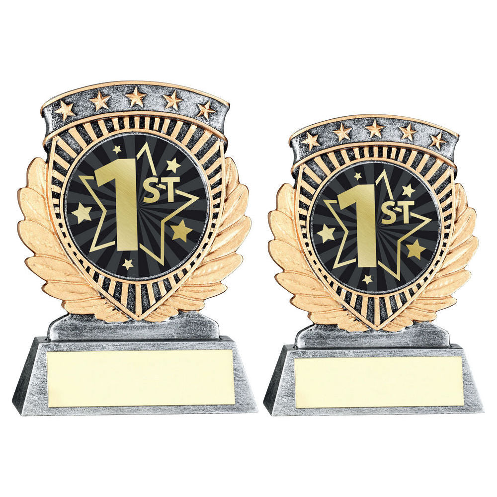 Pewter/Gold 5 Star Holder with Vinyl First Insert & Plate by School Badges UK