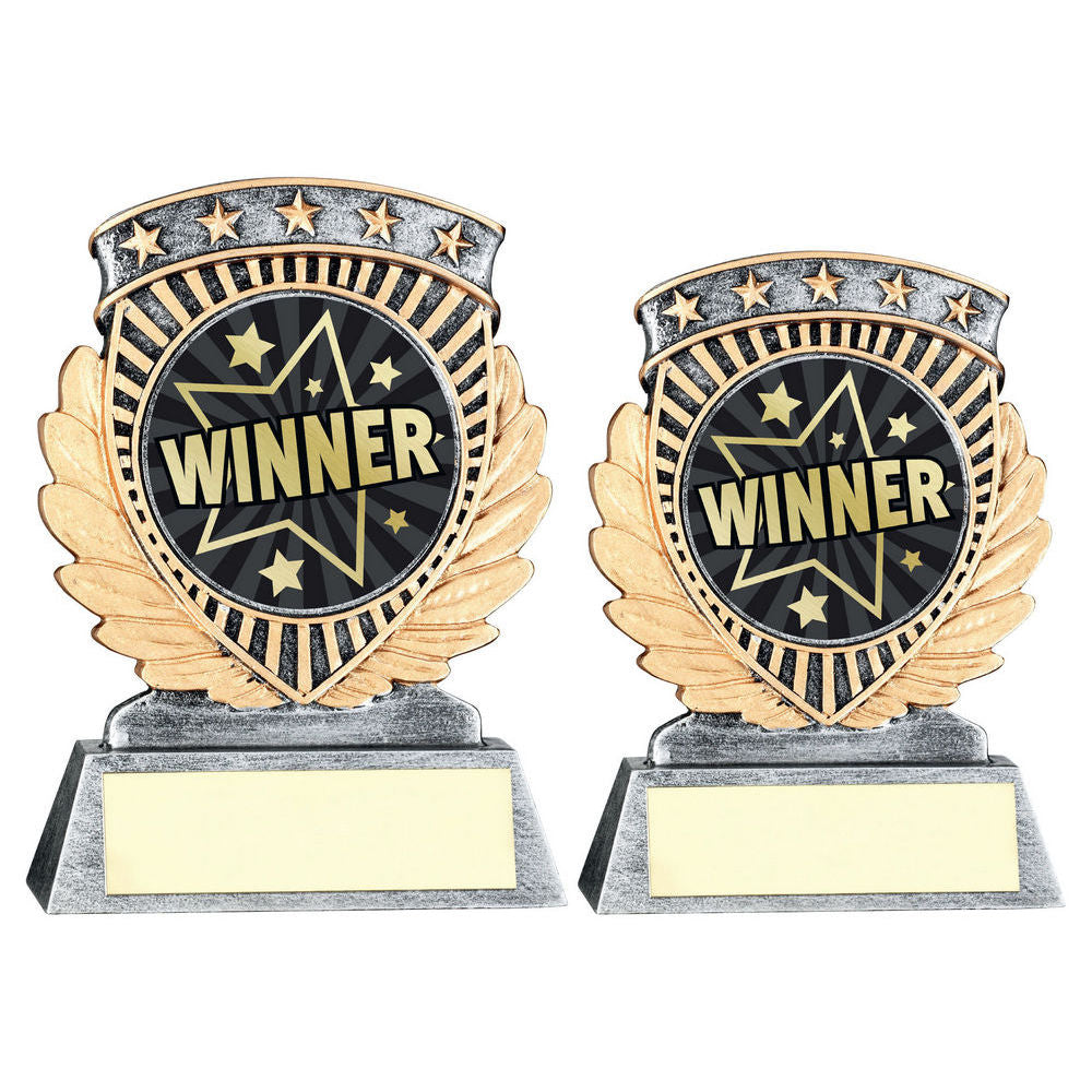 Pewter/Gold 5 Star Holder with Vinyl Winner Insert & Plate by School Badges UK