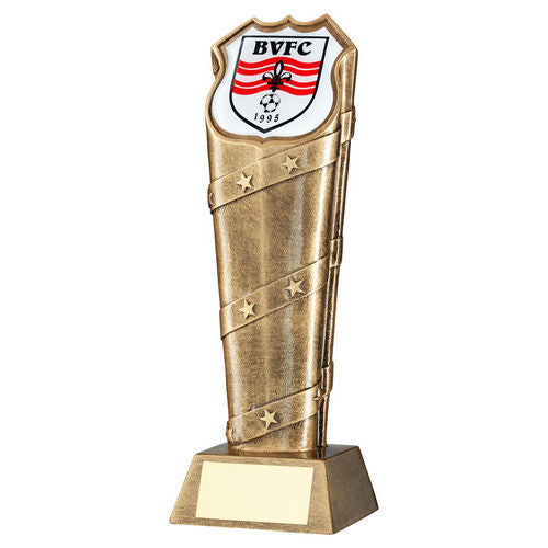 Bronze/Gold Column Special Shield Holder with Plate (Takes SP Shield Centre) - 152mm by School Badges UK
