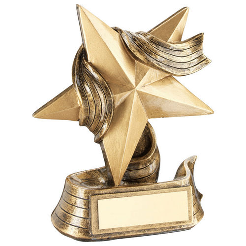 Bronze/Gold Star and Ribbon Award with Plate - 102mm by School Badges UK