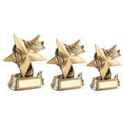 Bronze/Gold Star and Ribbon Award with Plate by School Badges UK