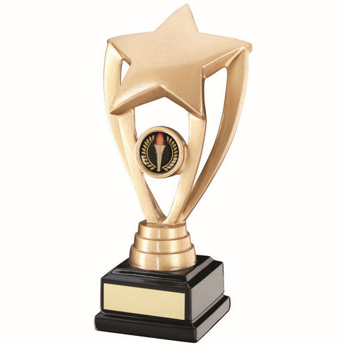 Gold Shooting Star Holder on Black Base with Plate - 171mm by School Badges UK