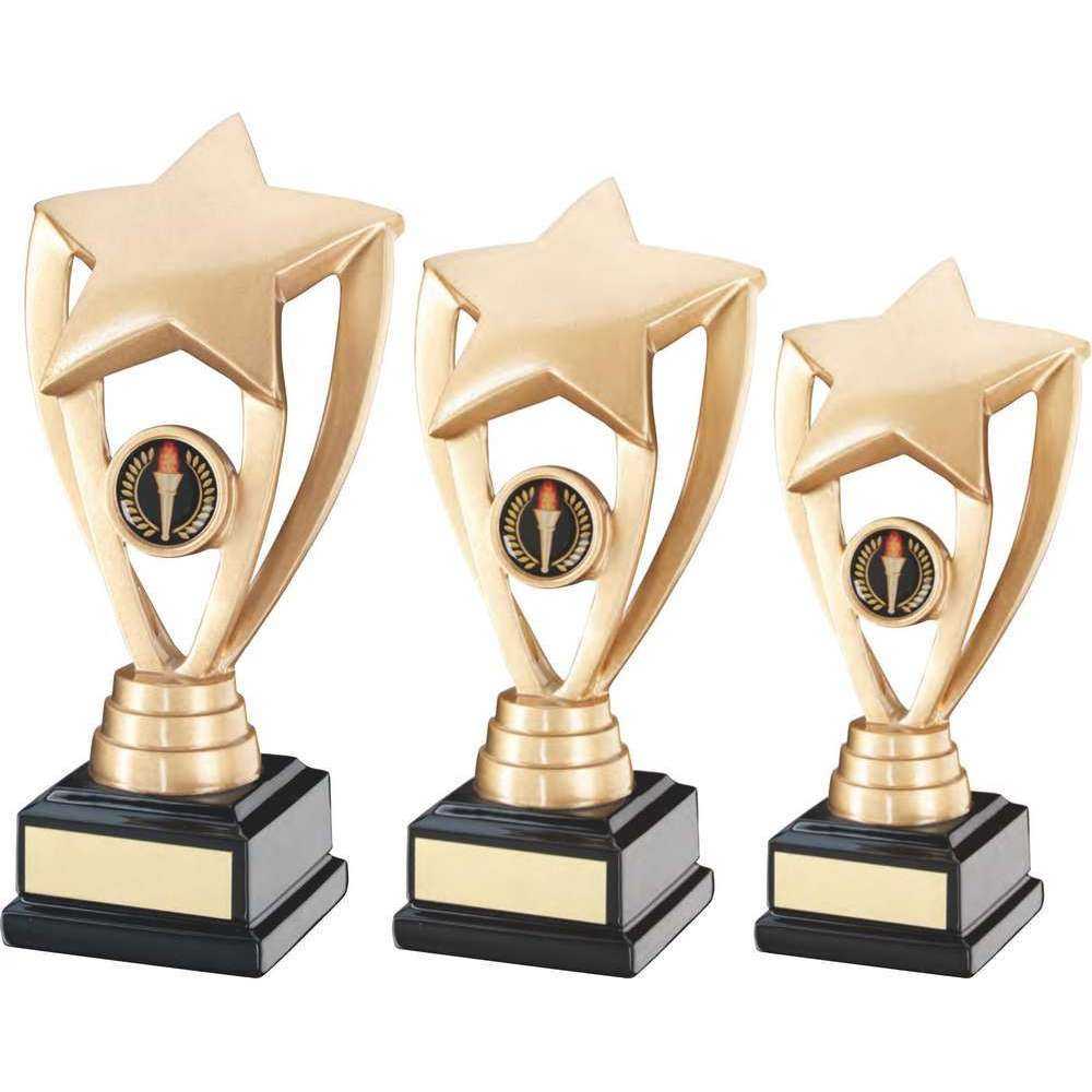 Gold Shooting Star Holder on Black Base with Plate by School Badges UK