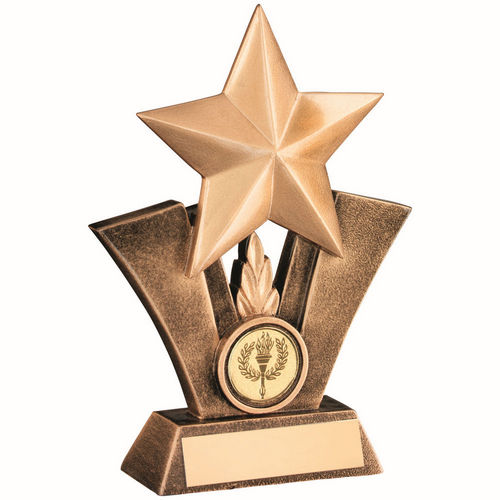 Bronze/Gold Generic Star Resin with Plate - 127mm by School Badges UK