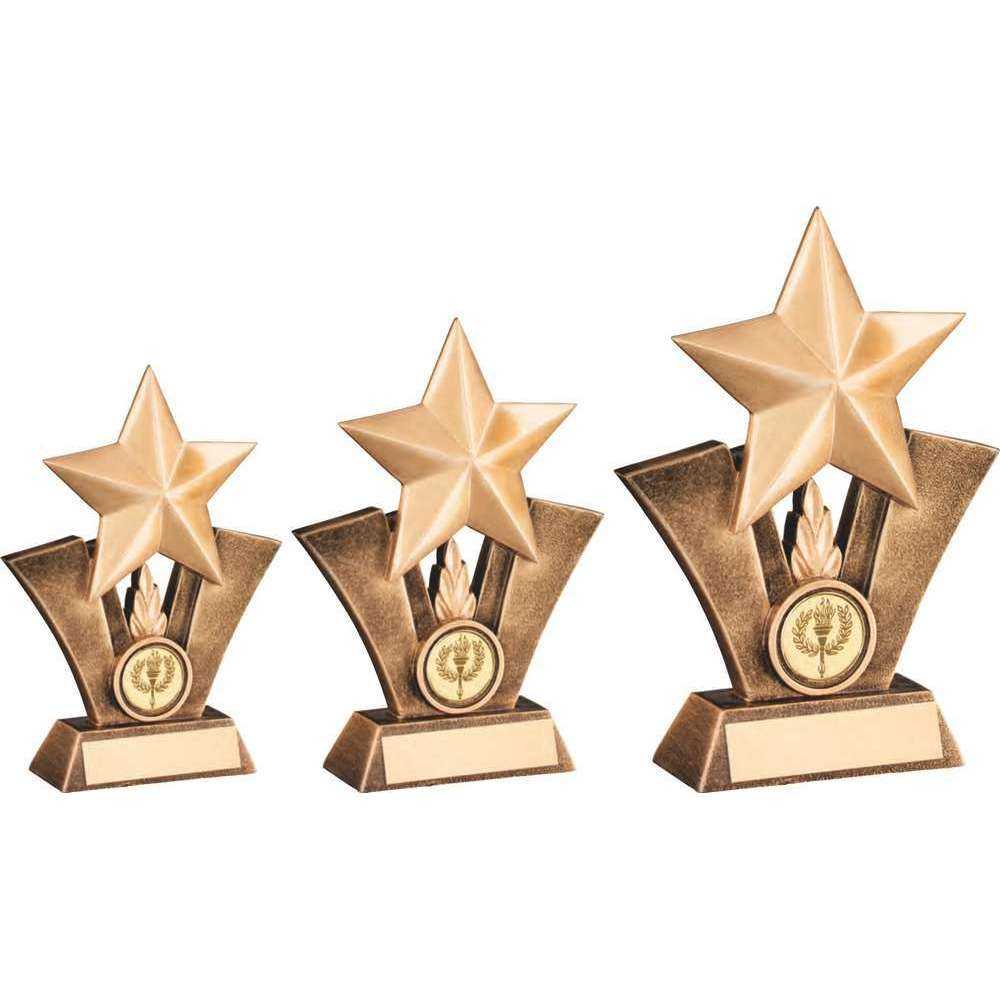 Bronze/Gold Generic Star Resin with Plate by School Badges UK