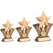 Bronze/Gold Generic Star Resin with Plate by School Badges UK