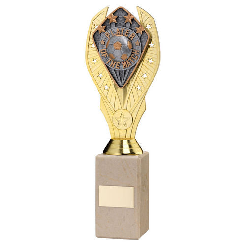Gold Holder + Player of the Match Disc & Cream Marble Trophy by School Badges UK