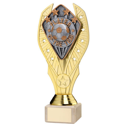 Gold Holder + Player of the Year Disc & Cream Marble Trophy by School Badges UK