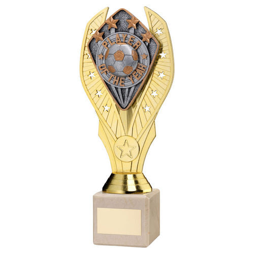 Gold Holder + Player of the Year Disc & Cream Marble Trophy by School Badges UK