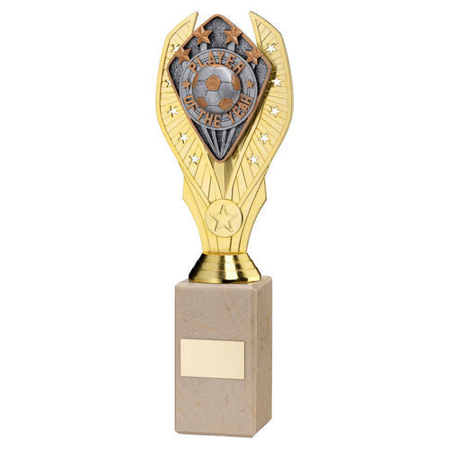 Gold Holder + Player of the Year Disc & Cream Marble Trophy by School Badges UK