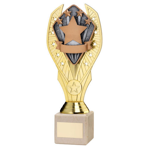 Gold Plastic Holder + Stars Disc on Cream Marble Trophy - 197mm by School Badges UK