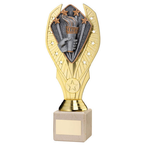 Gold Plastic Holder +Victory Torch Disc on Cream Marble Trophy - 197mm by School Badges UK