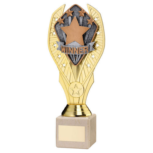 Gold Plastic Holder + Winner Disc on Cream Marble Trophy - 197mm by School Badges UK