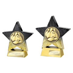 Superstar Ten Pin Bowling Award Trophy