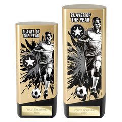 Prime Heavyweight Player of the year Gold & Black Trophy