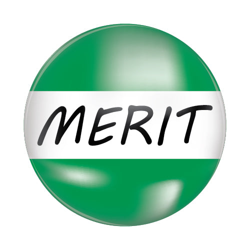 Merit Plastic Button Badge