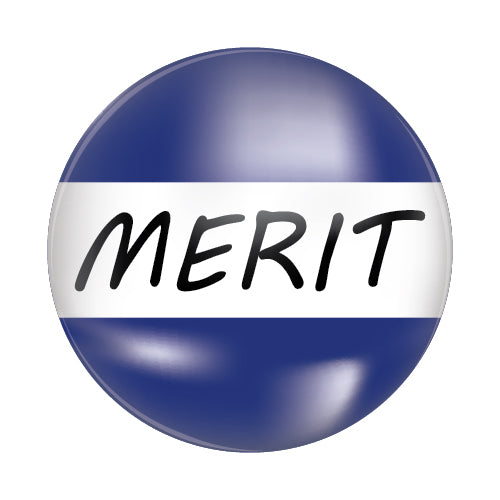 Merit Plastic Button Badge