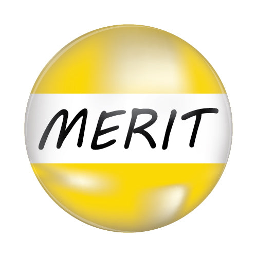 Merit Plastic Button Badge
