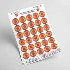 Bronze Award Treasure Themed Stickers by School Badges UK