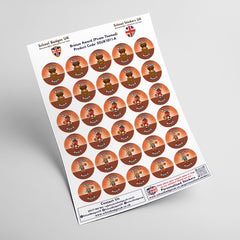 Bronze Award Pirate Themed Stickers by School Badges UK