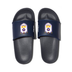 ACE Sliders