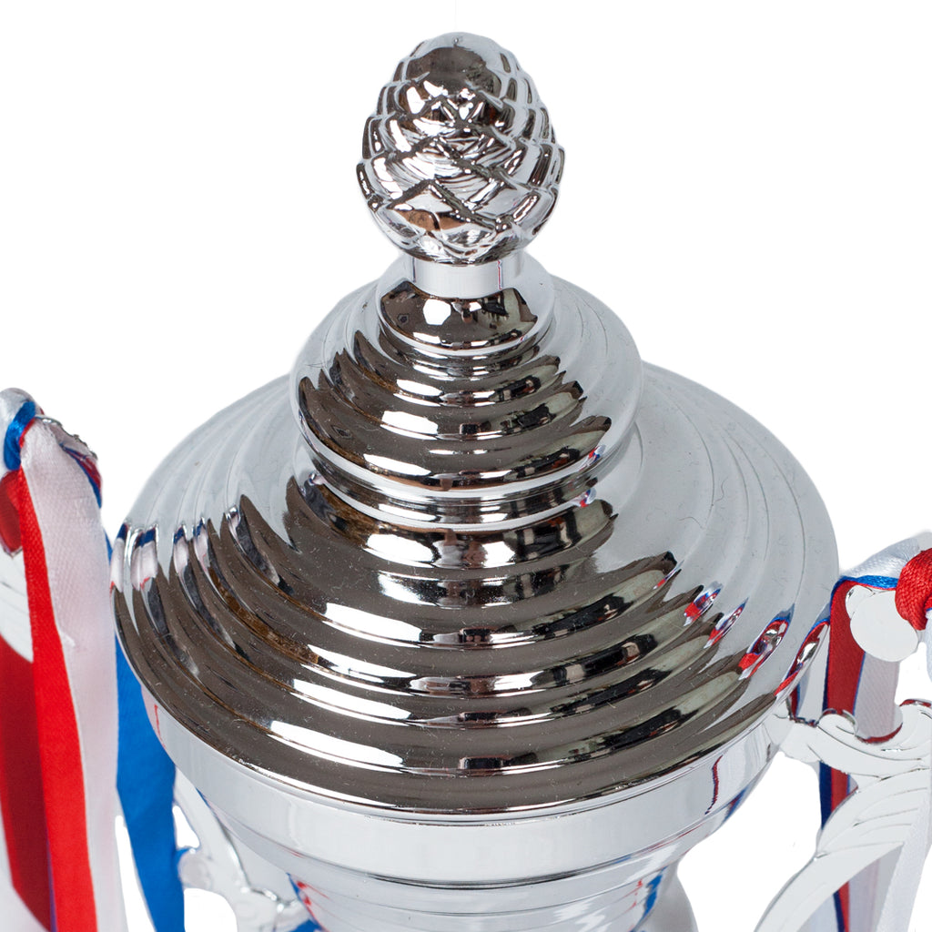 Sovereign Crest Cup Silver Trophy Top Zoomed by School Badges UK