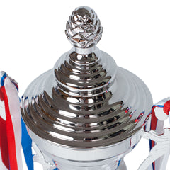 Sovereign Crest Cup Silver Trophy Top Zoomed by School Badges UK