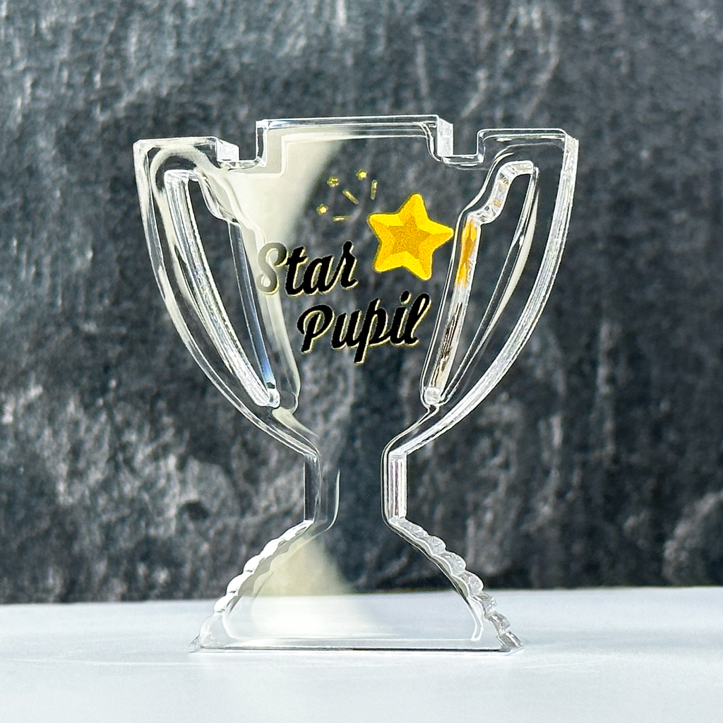 Star Pupil Clear Acrylic Trophy by School Badges UK