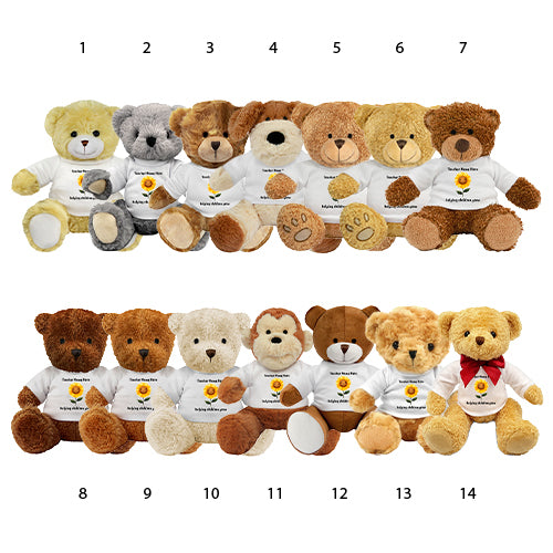 Personalised Helping Children Grow Teddy Bear - School Badges UK