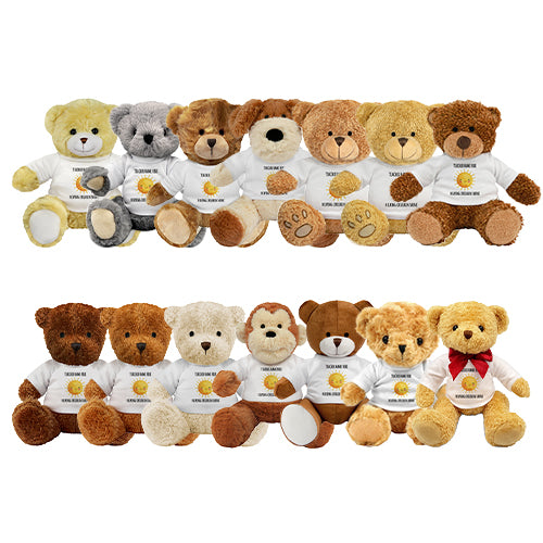 Personalised Helping Children Shine Teddy Bear - School Badges UK
