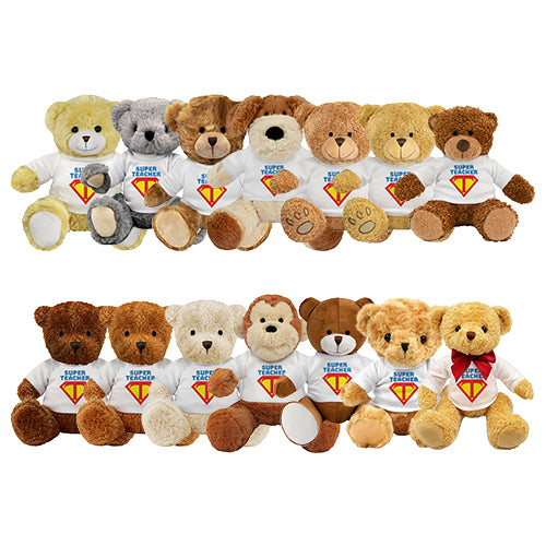 Super Teacher Teddy Bear - School Badges UK