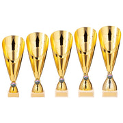 Rising Stars Deluxe Gold Trophy