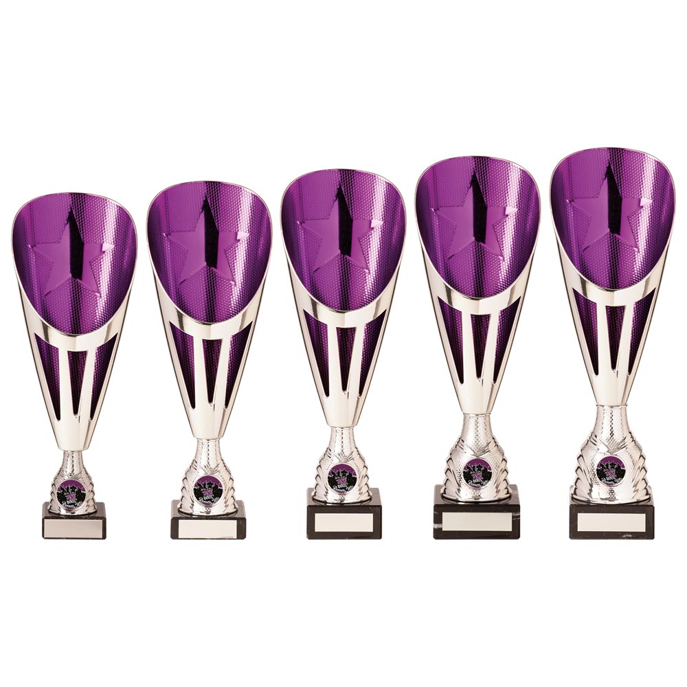 Rising Stars Deluxe Purple & Silver Trophy