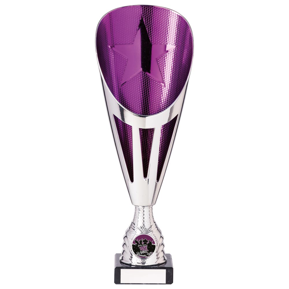 Rising Stars Deluxe Purple & Silver Trophy – 305mm